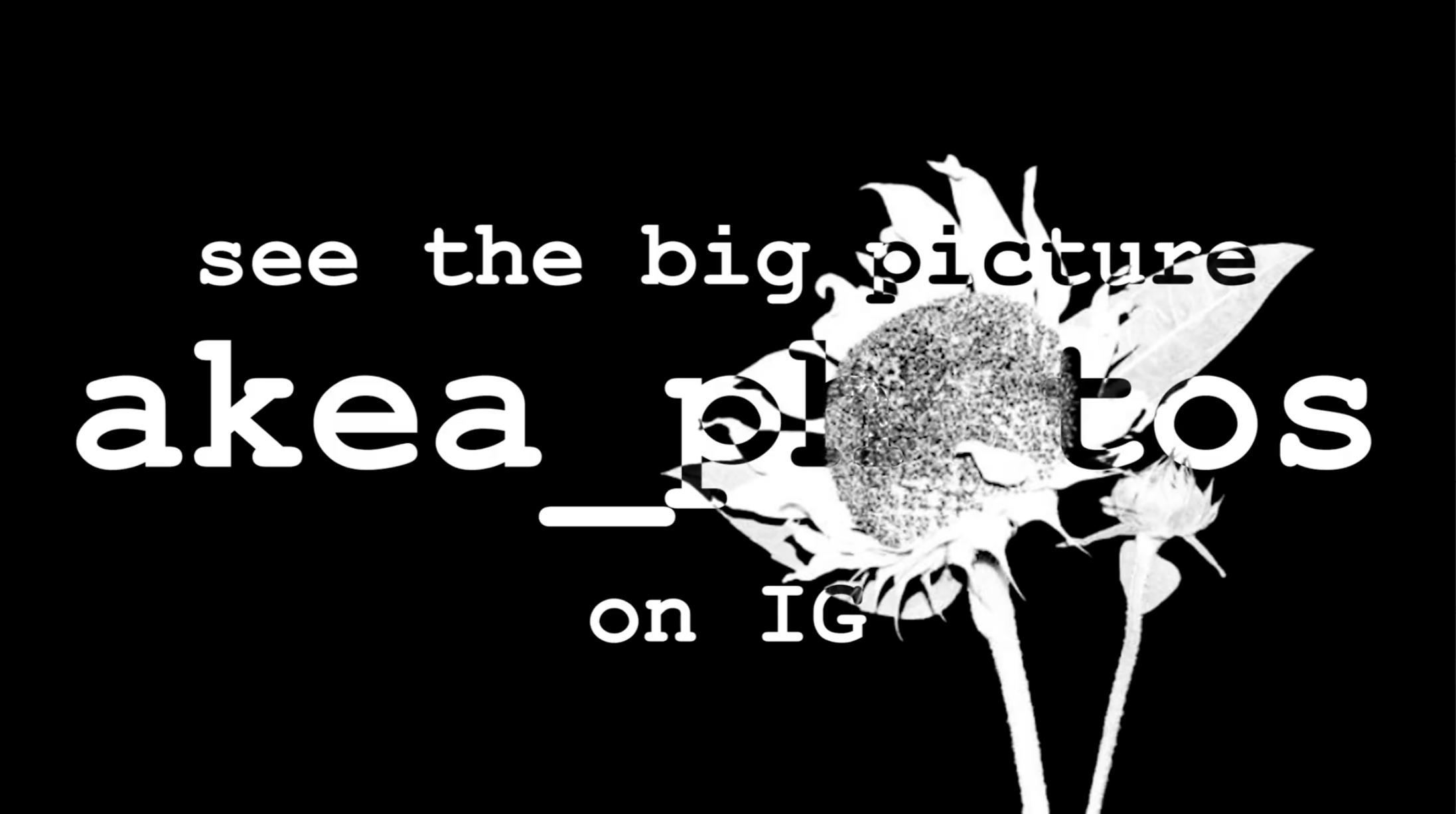 akea_photos advertisement